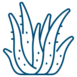 Aloe Icon